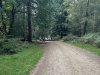 Photo-1