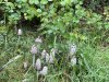 IMG_5887-Large