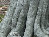 IMG_2699-Large