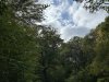 IMG_2703-Large