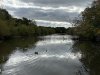 IMG_2707-Large