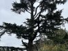 IMG_2764-Large