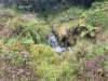 IMG_5903-Large