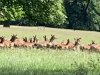 IMG_9383-Large