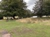 20260911_103136361_iOS-Large