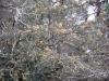 Copy of IMG_0132
