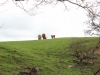 IMG_0663 (640x427)