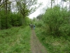 fineshade-woods-008-800x600
