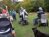 Hatfield Forest