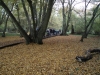 Hatfield Forest