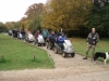 Hatfield Forest
