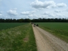 holkham-hall-021-800x600