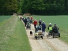 holkham-hall-022-800x600
