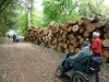 holkham-hall-025-800x600