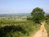 view of Edgehill from pig lane