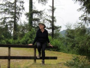2019 July Coed-y-B waterfalls
