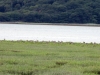 IMG_4920-Edited