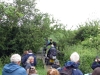 IMG_4460-Edited-1