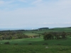 DSC_0676 (640x428).jpg