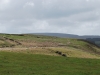DSC_0698 (640x428).jpg