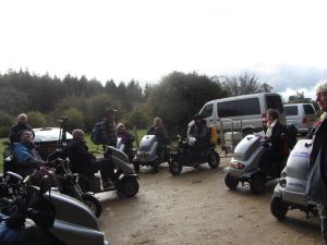 2015 Linford Bottom