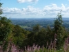 P1120049