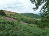 malvern-hills-ramble-041-1280x960