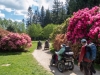 DR-Walks-Wiltshire-May-2019-3