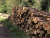 UNADJUSTEDNONRAW_thumb_47ac