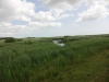 Minsmere RSPB to Dunwich Heath 013 (800x600).jpg