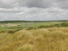 Minsmere RSPB to Dunwich Heath 035 (800x600).jpg