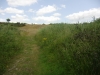 Minsmere RSPB to Dunwich Heath 073 (800x600).jpg