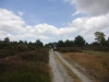 Minsmere RSPB to Dunwich Heath 080 (800x600).jpg