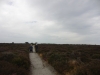 Minsmere RSPB to Dunwich Heath 095 (800x600).jpg