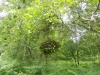 Minsmere RSPB to Dunwich Heath 100 (800x600).jpg