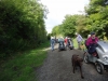 Monsal Trail 011 (1024x768)