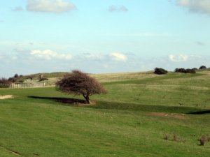 2018 Ditchling Beacon Regional Ramble