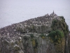 pemb0506-m