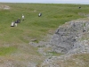 pembrokeshirecoast06_38