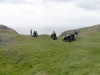 pembrokeshirecoast06_39