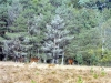 DSCF2401