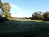 DSCF2404