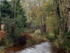 DSCF2441