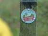 Sustrans-disabled-ramble-7-19-278-of-349-Medium