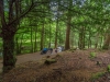 Sustrans-disabled-ramble-7-19-328-of-349-Medium