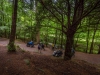 Sustrans-disabled-ramble-7-19-331-of-349-Medium