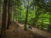 Sustrans-disabled-ramble-7-19-333-of-349-Medium