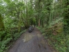 Sustrans-disabled-ramble-7-19-346-of-349-Medium