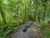 Sustrans-disabled-ramble-7-19-349-of-349-Medium
