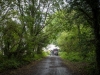 Sustrans-disabled-ramble-7-19-51-of-349-Medium